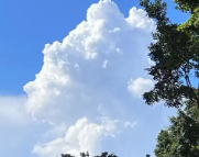 天津天气预报,天津7天天气预报,天津15天天气预报,天津天气查询